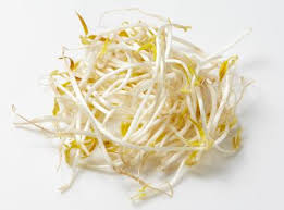BEAN SHOOTS  PUNNET 250g