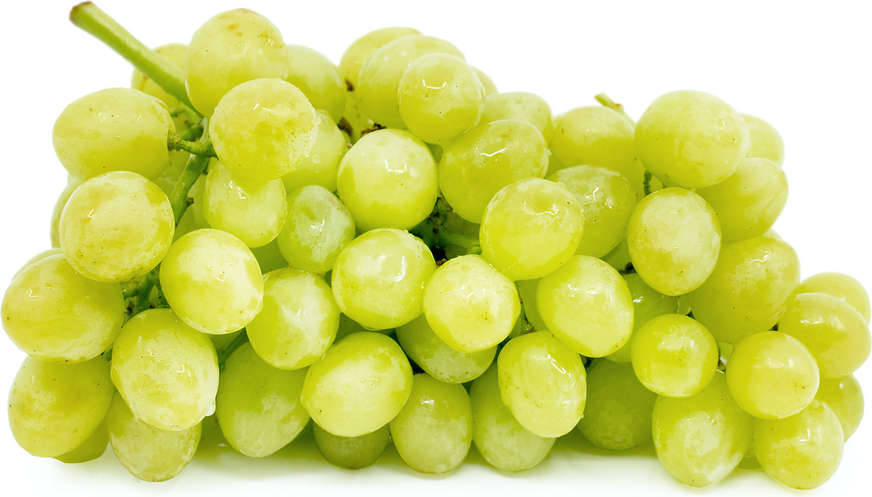GRAPES GREEN