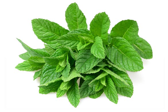 MINT BUNCH