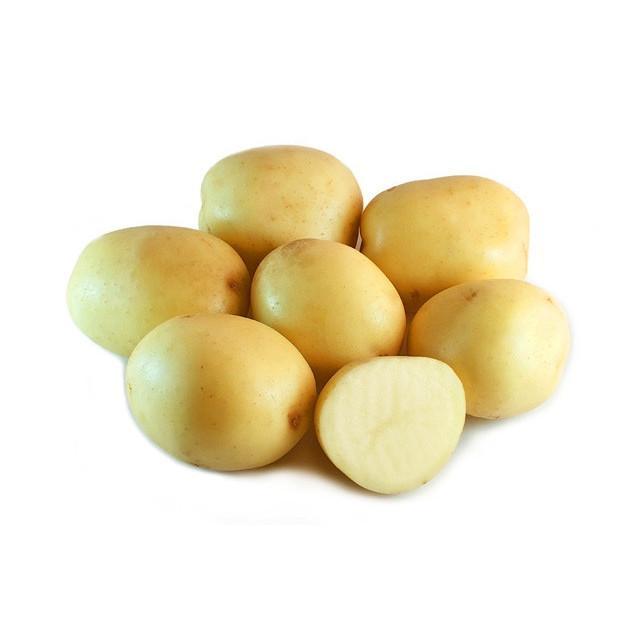 POTATOES WASHED LARGE