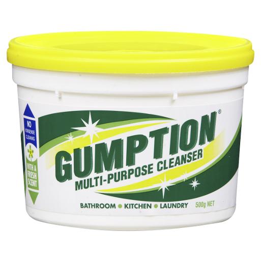 GUMPTION PASTE CLEANER TUB 500GM Pack Size: 12